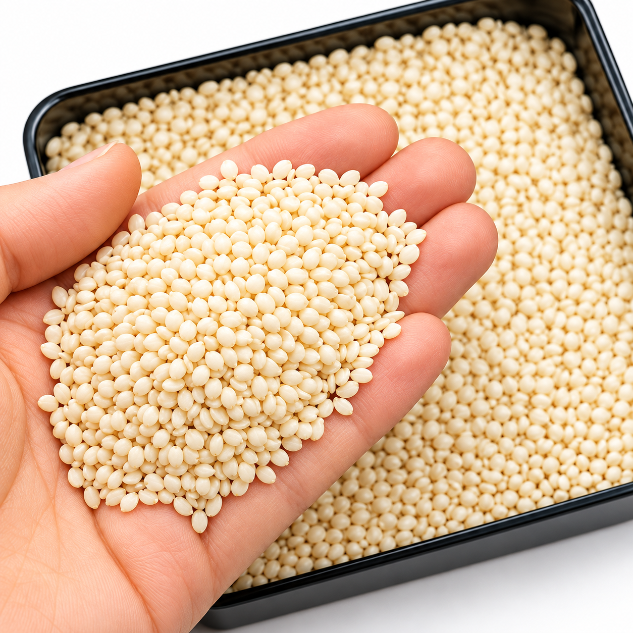 Sesame Seed 250g