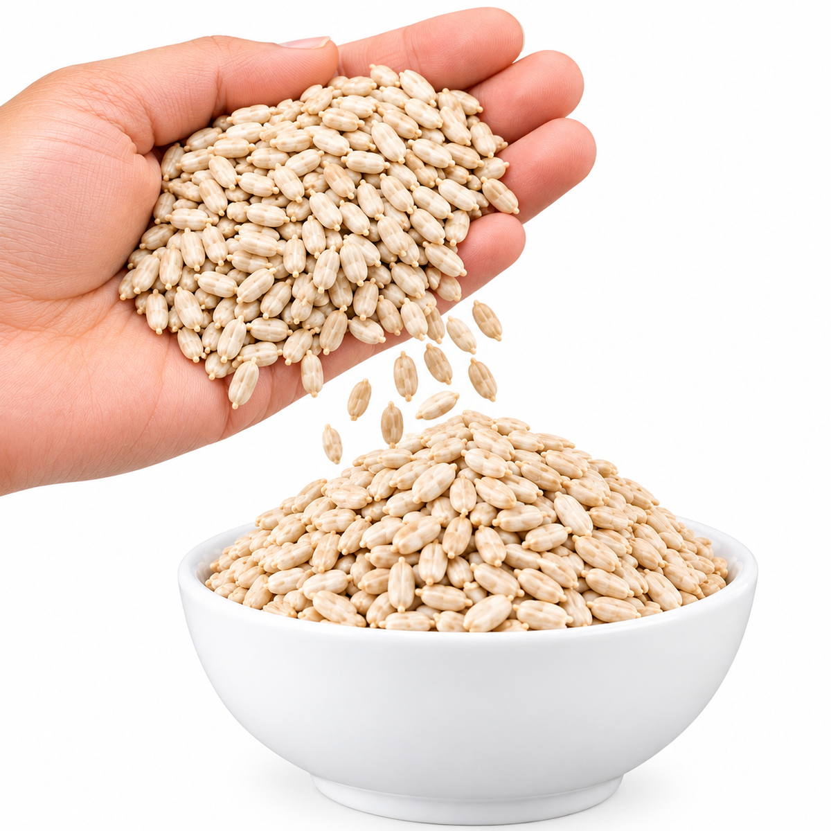 Four Seeds